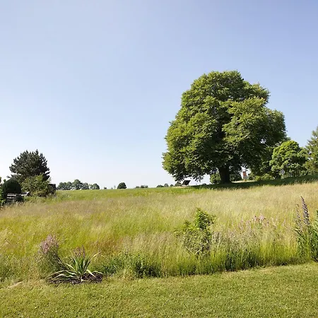 Alpenliebe * Höchenschwand